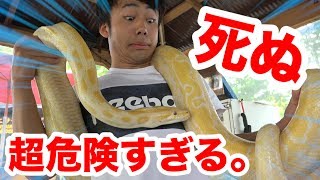 Number one in Japan!? This zoo is so dangerous, we have to sign a contract!!