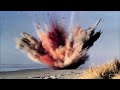 The Exploding Whale Incident