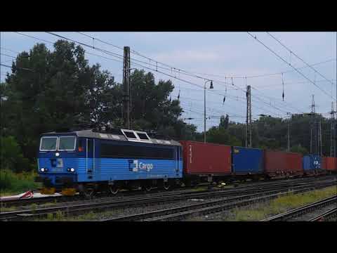 Nákladní vlaky ve výhybně Dluhonice dne 14. srpna 2020