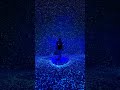 Cloud Forest Avatar Themed Show