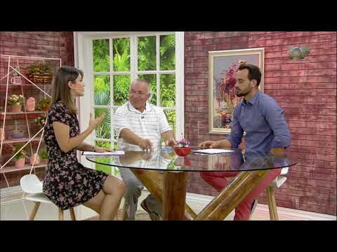 Ne Shtepine Tone, 20 Shtator 2017, Pjesa 1