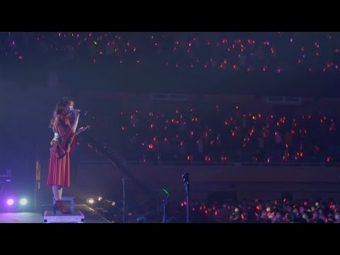 CHiCO with HoneyWorks - Otomedomoyo | Live