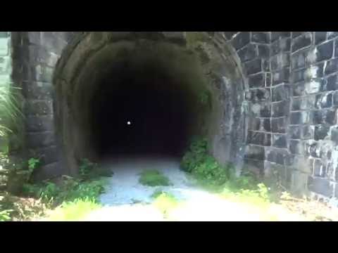 昼間心霊スポットに行ってみた（線守稲荷・その２）旧箱根２号トンネル