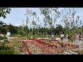 Belangstelling voor gratis planten Floriade enorm  aanmelding stopgezet