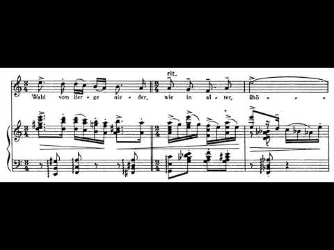 E.W. Korngold - Das Ständchen, Op. 9 n°3