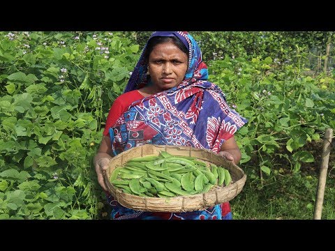 FARM FRESH Bean and Brinjal Recipe Cooking Bean in my Village Brinjal Fish Curry VILLAGE FOOD Video