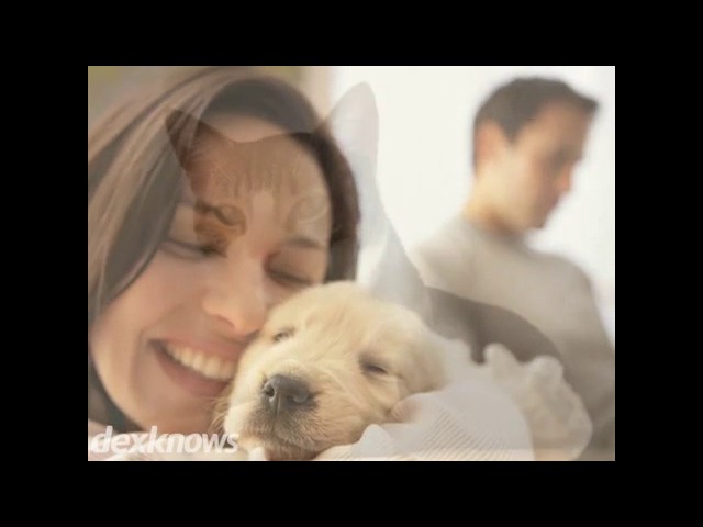 Canine Corner And Cats Too - Cedar Rapids, IA