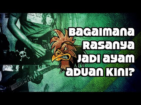 Ayam - Jamrud