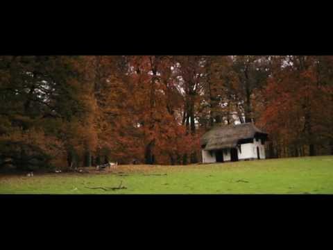 Autumn in Arnhem - Shot on Sony Alpha