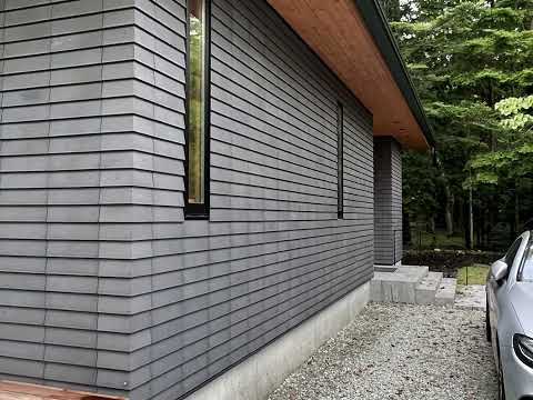 DecorativeModern  Shell wall model 3