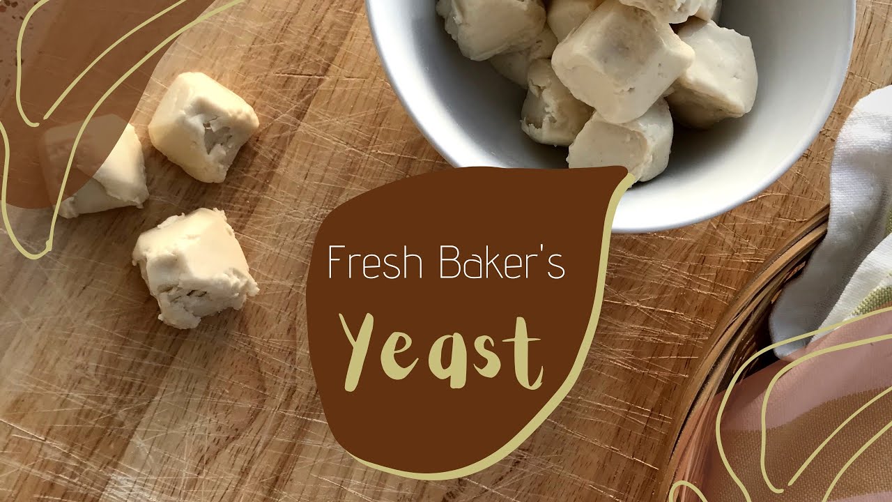 How to make Fresh Bakers yeast