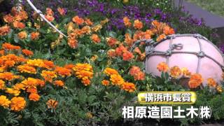 よこはま花と緑のスプリングフェア2015　花壇コンクール褒章授与式