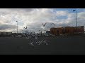 Feeding Seagulls Funions Bread
