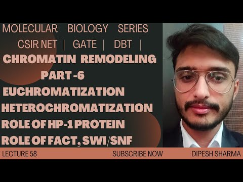 Molecular Biology Lecture 58 | Chromatin Remodeling Part-6 | Euchromatization | Heterochromatization