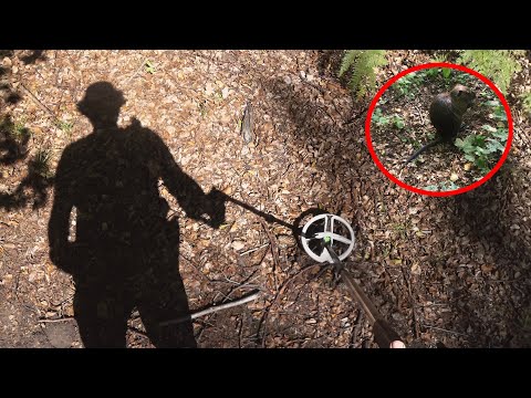 Metal Detecting With Swamp Creature, a Mysterious Find and More!