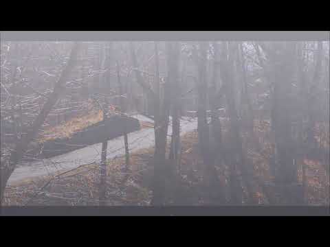 Rally Il Ciocco e Valle del Serchio 2019