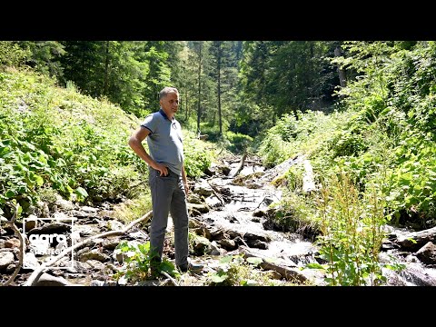 Păstrăvăria Dejani, sursa de pește proaspăt din Munții Făgărașului