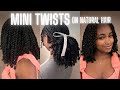 My Mini Twist Routine On Natural Curly Hair Protective Hairstyle No Heat No Hair Added