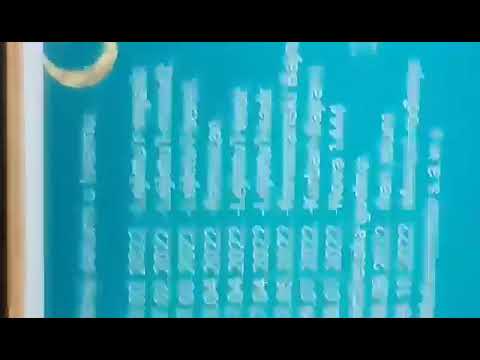 Važni datumi u Islamu 2022