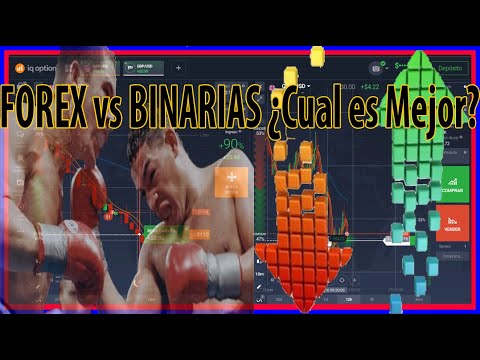 Metatrader 5 trading bot sitio web de inversión criptográfica