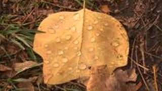 dance with my father