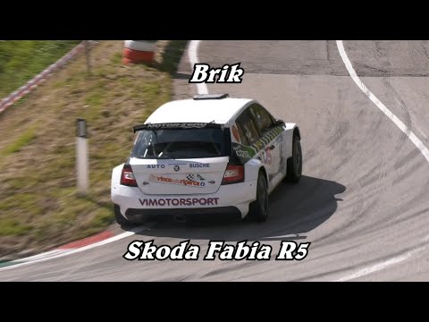 HILLCLIMB SALITA PEDAVENA - C. D'AUNE 2021 | BRIK | SKODA FABIA R5