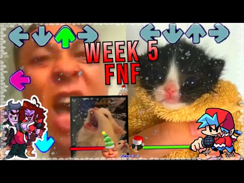 WEEK 5 BUT its Towel Cat VS THURSTON & Angry Man - Friday night funkin Custom Animation