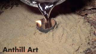 Casting an Aphaenogaster treatae Ant Colony with Molten Aluminum (Cast #066)