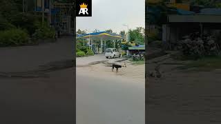 Download lagu My Village petrol pump  ||❣️❣️ mp3 Download lagu My Village petrol pump  ||❣️❣️ mp3