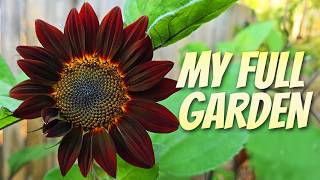 Behind the Scenes! See My Backyard Garden Tour 2025!