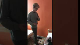 faze tari trezire comica din somn