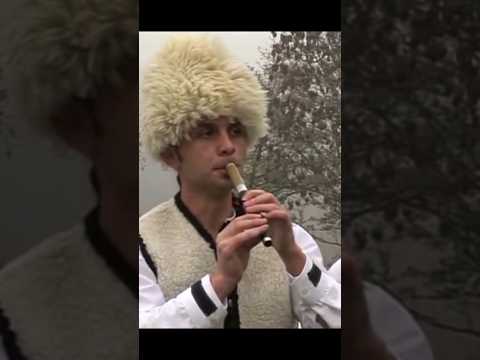 🤩🌞 EXTRA FRULA - ACA KULIĆ 🎵