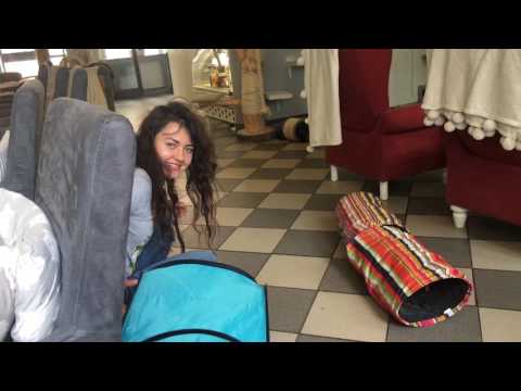 Mrau Cafe in Lublin 😻  We love every cat 🐱