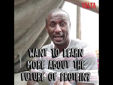 Caleb Karuga visits a Black Soldier Fly farm