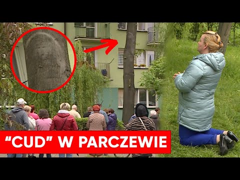 "Cud" w Parczewie