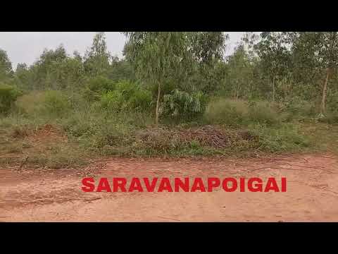 1 BHK 21780 Sq.ft. Farm House for Sale in Gandarvakottai, Pudukkottai