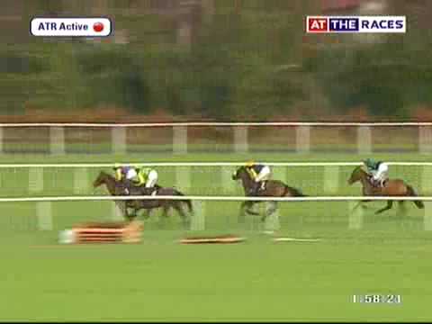 Brave Inca - AIG Champion Hurdle (2006)