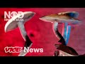 The Rise Of Psychedelic Therapies News On Drugs