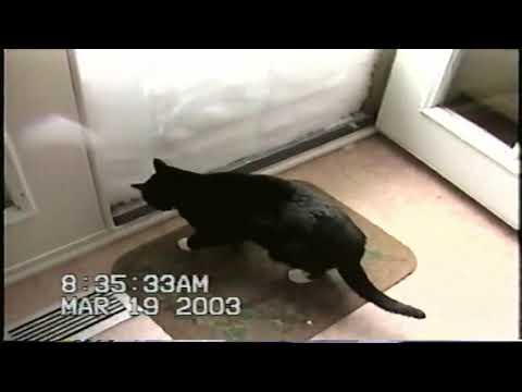 Maori & Paul Krysiak, Blizzard 2003