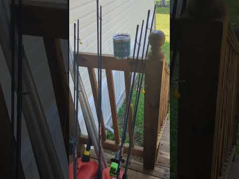 92 hour carp fishing marathon . waddington st Lawrence #livinglife