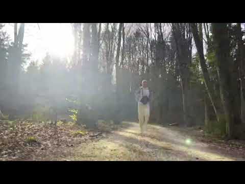 Majlo 27 - PADAM (Prod. by 27 & Pafko) VISUALIZER