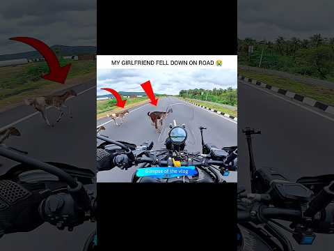 𝗣𝗿𝗮𝘆 𝗙𝗼𝗿 𝗚𝗼𝗮𝘁 🐐🙏🏼😭 𝗠𝗼𝘁𝗼𝘃𝗹𝗼𝗴𝘀 #shorts #youtubeshorts #motovlog #viral #goat #animals