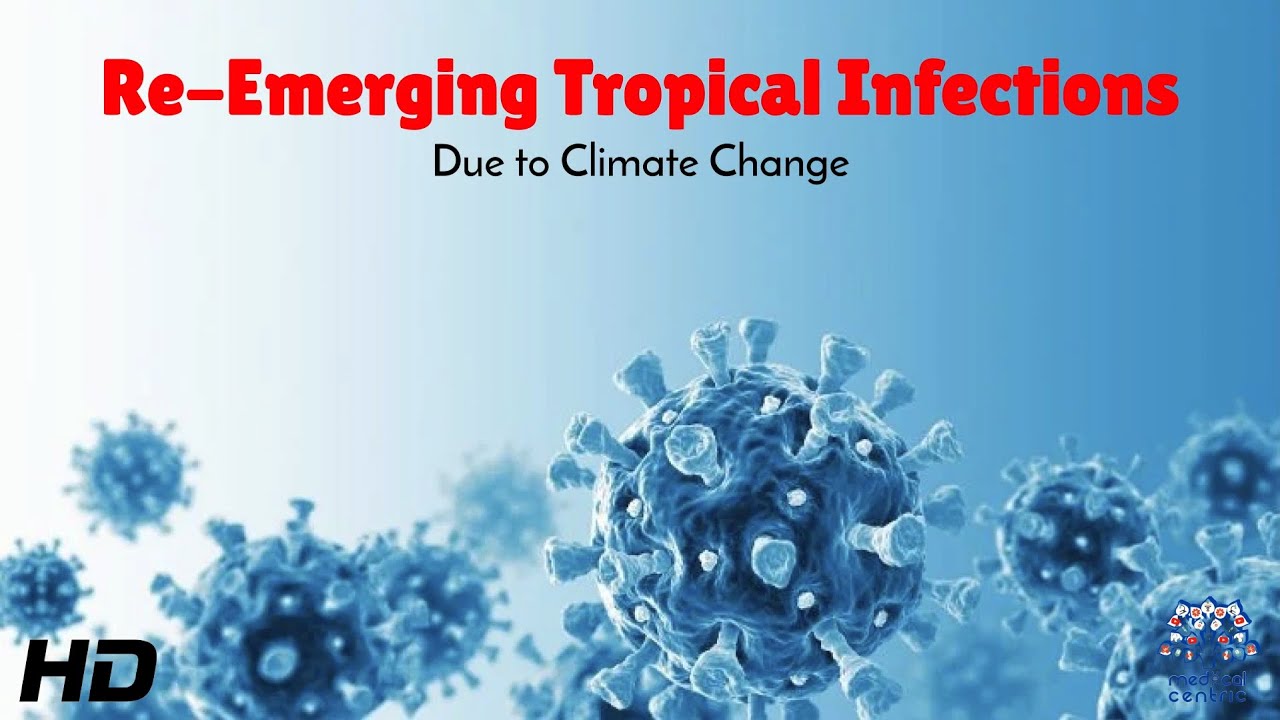 Re-Emerging Tropical Infections : Understanding the Climate Change Connection