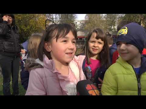 DNEVNIK 13.11.2019. Osječka televizija