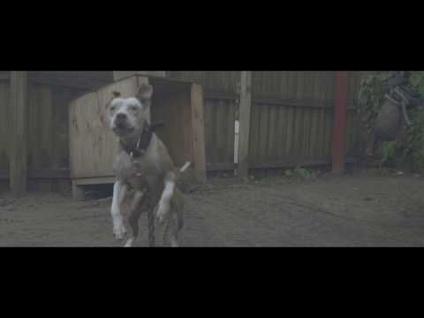 Run Wit It - Lil Flatt, Swivva4, Foeson, Xtra (Shot by @Bungy727) prod by Young Treblle