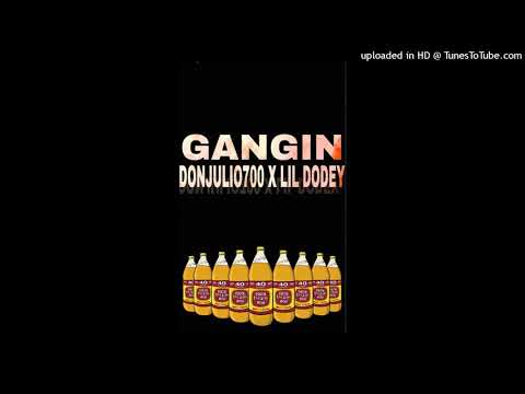 GANGIN DONJULIO700 x LIL DODEY