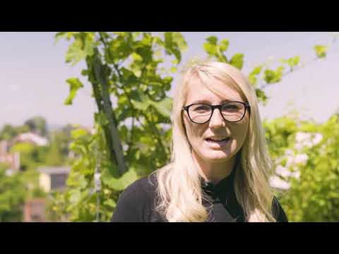 Winzerverein Meersburg Portrait 3