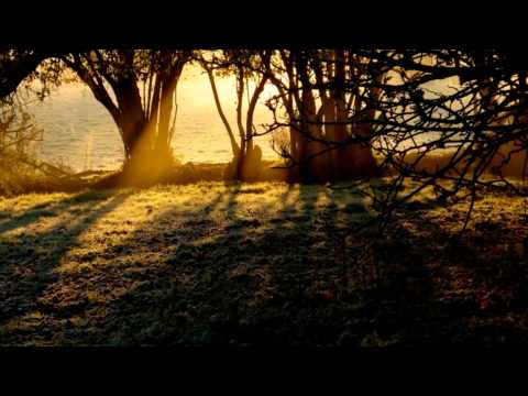 The Purgative Way (Z) -- Full Album