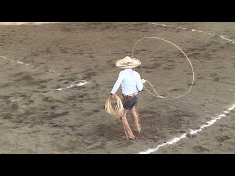 Practica Profesional:  Jineteada, a pie, a caballo All Horses y yegua Maq 501