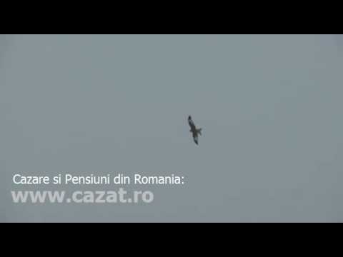 Cazare Glavanesti, Bacau - Cazat.ro